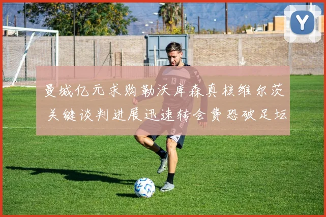 曼城亿元求购勒沃库森真核维尔茨 关键谈判进展迅速转会费恐破足坛纪录